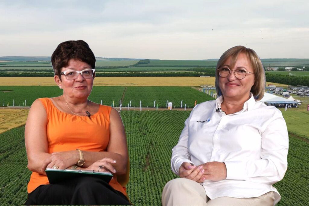 porumn corteva maria cirja