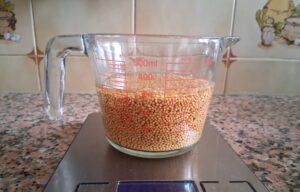 mustar-facut-in-casa