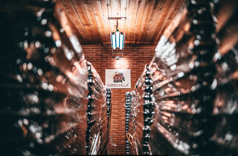 Oltrepò-Pavese-italia-vin-4