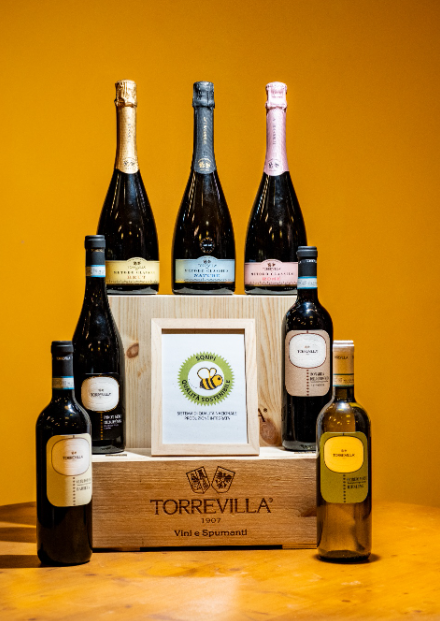 Oltrepò-Pavese-italia-vin-4