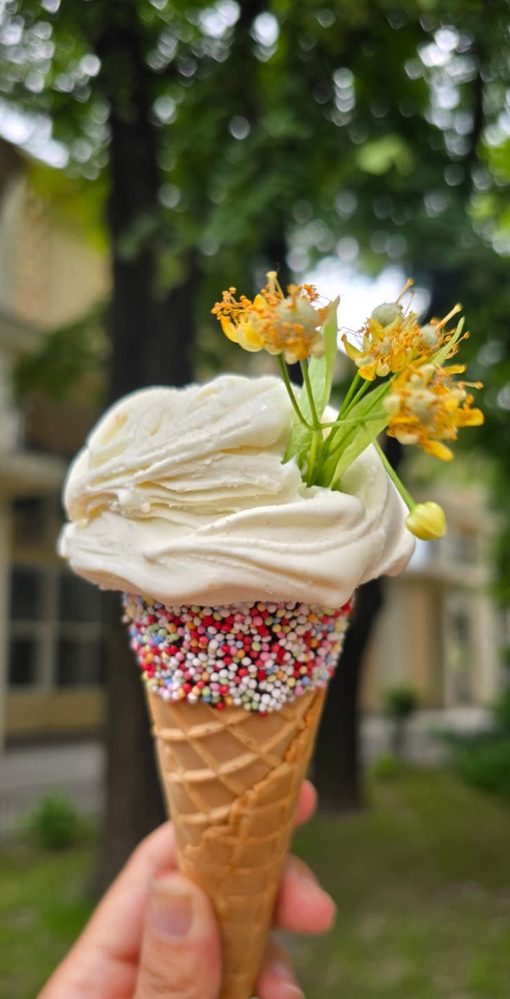 Cosi Buono Gelato Gust de Iasi 3 (1)