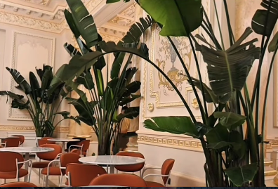 cazino-constanta-restaurant-city-grill-cafenea-bistro-1