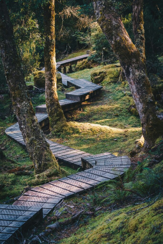 tasmania-gastronomia-tasmaniei-national-geographic-destinatii-gastronomice-2026-bucatarie-aborigena-ingrediente-indigene-turism-gastronomic-hobart-farm-gate-market-abalone-stridii-angasi-the-agrarian-kitchen-rodney-dunn-analiese-gregory-australia-traditii-culinare-foraging-cultura-aborigena-experiente-culinare-sudul-tasmaniei