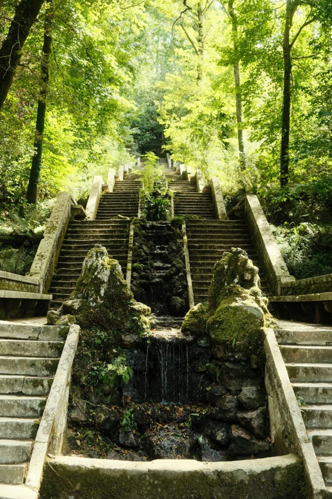 Padurea-Bussaco-Bussaco-Portugalia-padure-terapeutica-terapie-forestiera-baie-de-padure-forest-bathing-shinrin-yoku-turism-Portugalia-turism-de-sanatate-wellbeing-natura-sanatate-Luso-Mealhada-Healing-Forest-terapie-in-natura