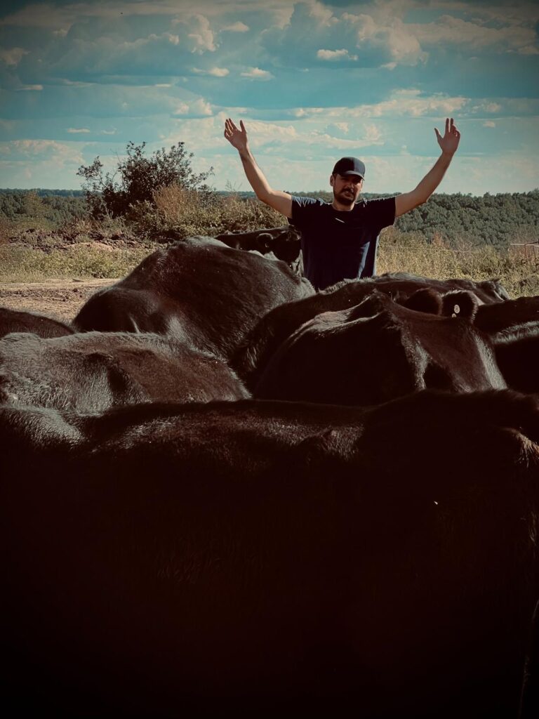 angus-farm-stefan-barbulescu-carne-de-vita-angus-aberdeen-angus-carne-grass-fed-100-grass-fed-vita-crescuta-pe-pasune-pasunat-regenerativ-ferma-de-vite-carne-de-vita-friptura-de-vita-carne-premium-restaurante-michelin-chefi-bucatarie-gastronomie-romania-ferma-romaneasca