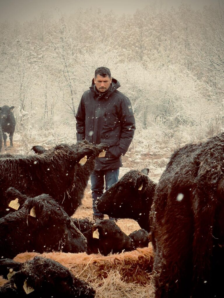 angus-farm-stefan-barbulescu-carne-de-vita-angus-aberdeen-angus-carne-grass-fed-100-grass-fed-vita-crescuta-pe-pasune-pasunat-regenerativ-ferma-de-vite-carne-de-vita-friptura-de-vita-carne-premium-restaurante-michelin-chefi-bucatarie-gastronomie-romania-ferma-romaneasca