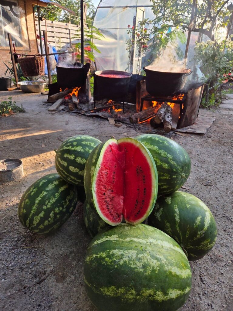 magiun-de-pepeni-branesti-magiun-traditional-pepene-verde-traditii-culinare-patrimoniu-gastronomic-retete-traditionale-ilfov