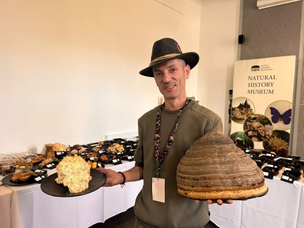 Peste 150 de specii de ciuperci, expuse la Sibiu / Printre ele, exemplare cu miros de vanilie și o specie documentată în premieră în România