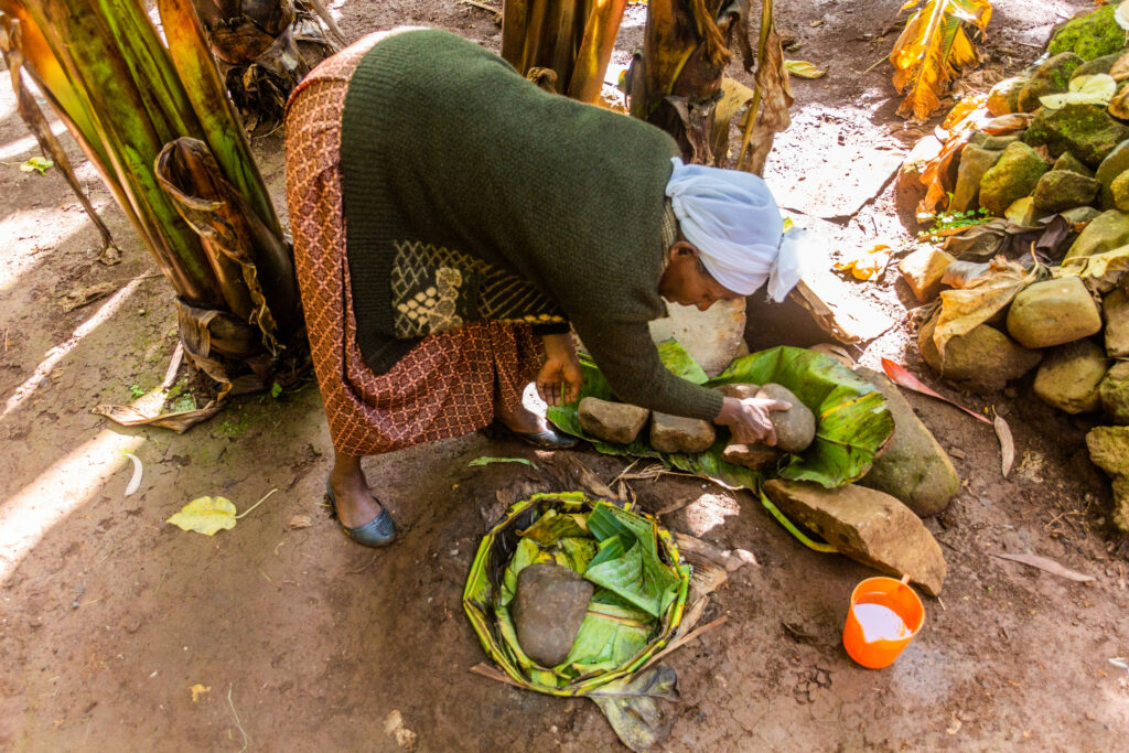„Banana pe steroizi” care rezistă la secetă și boli și ar putea hrăni milioane de oameni De ce „arborele împotriva foametei” este cultivat aproape exclusiv într-o singură țară