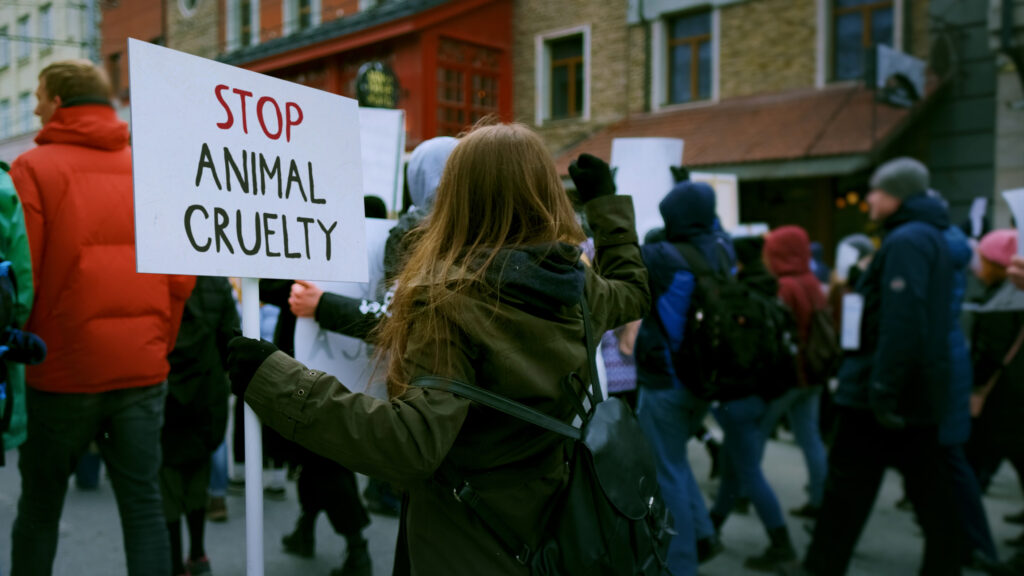 Peste 70 de ONG-uri și iubitori de animale ies în stradă la București Protest de Ziua Internațională a Animalelor, față de modul în care autoritățile gestionează animalele
