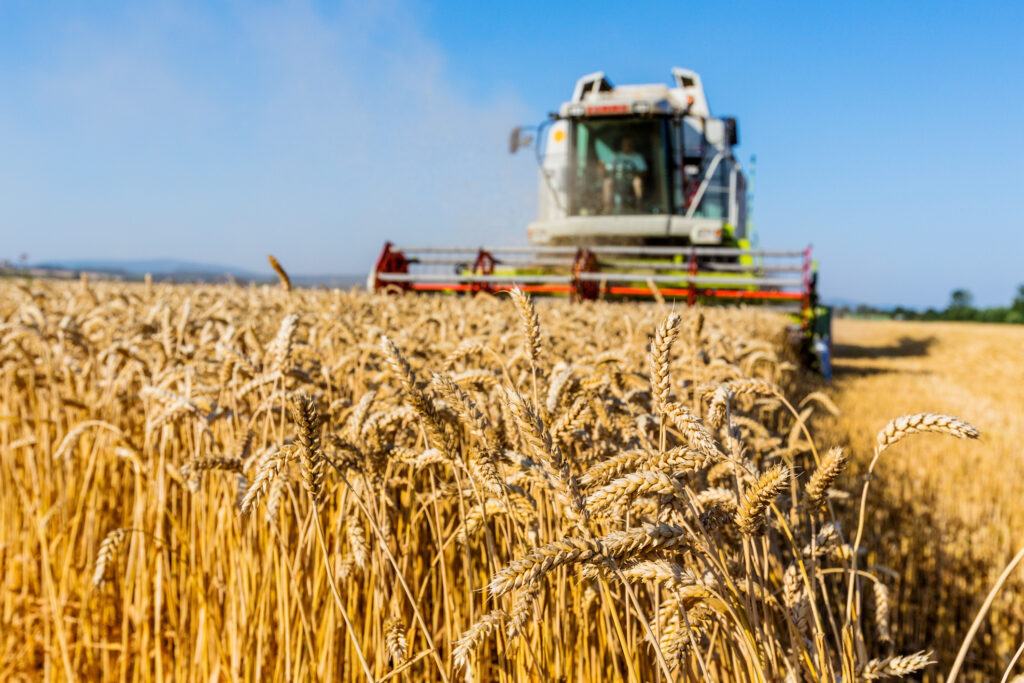 Polonia și România spun că nu mai pot crește tranzitul cerealelor ucrainene Kievul cere ajutor pentru exporturi / Barna Tánczos, pentru POLITICO: „Interesul fermierilor noștri rămâne o prioritate”