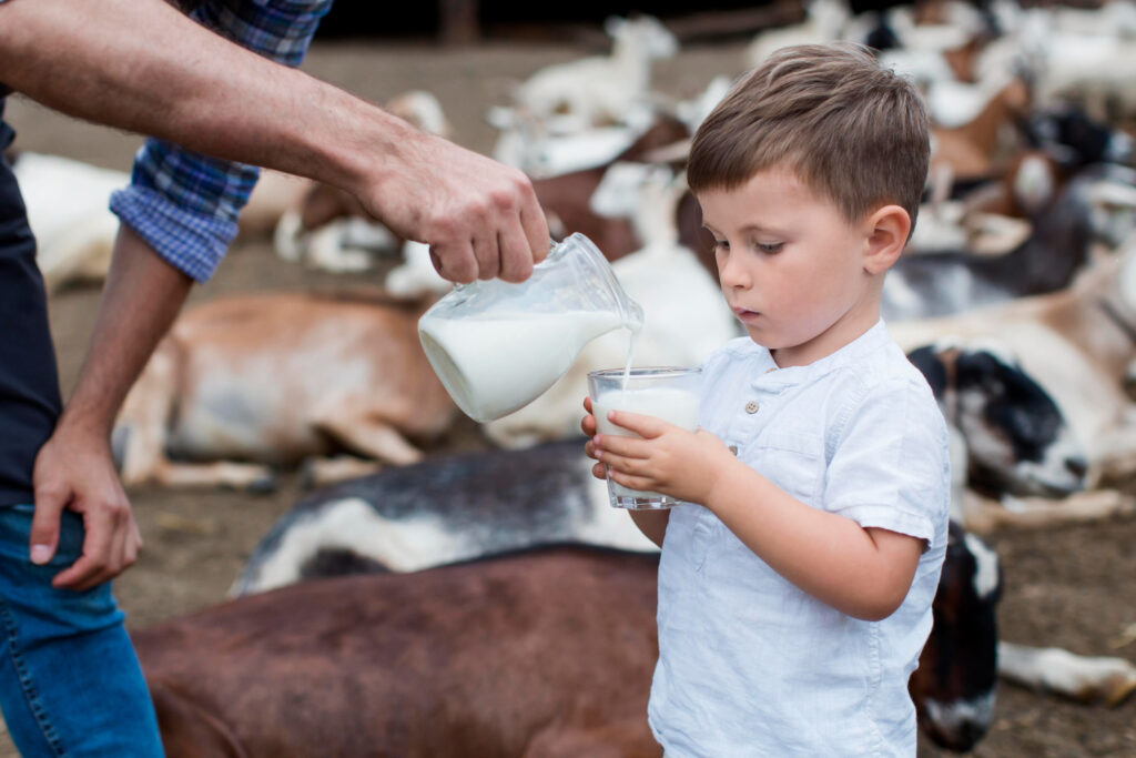 Când laptele de capră îți poate face rău / O fetiță de un an și cinci luni, aproape de moarte după ce a băut lapte crud / Riscurile produselor nepasteurizate